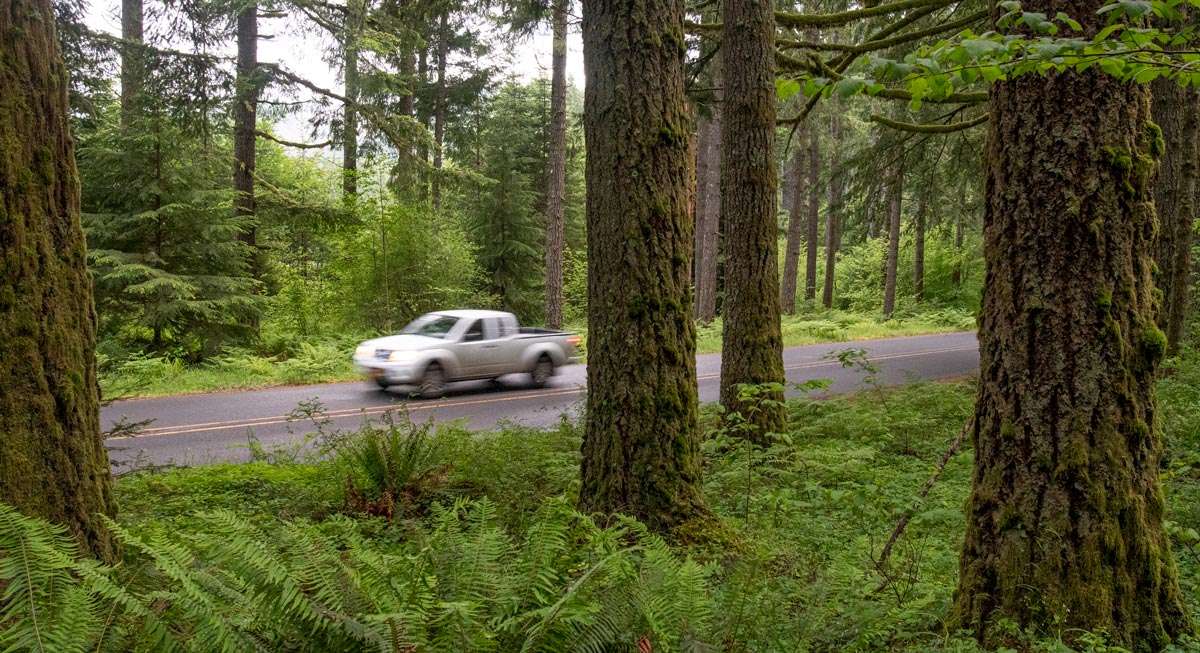 Truck driving through woods