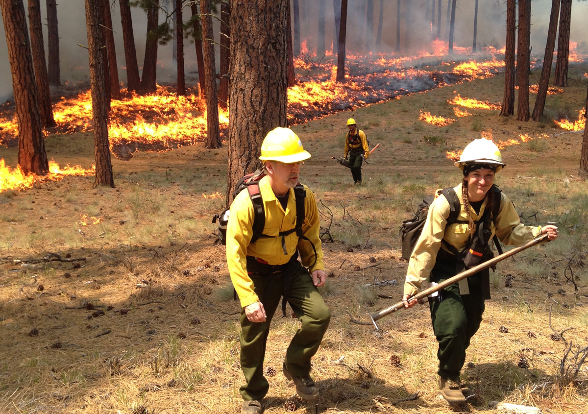 3 people in front of forest on fire