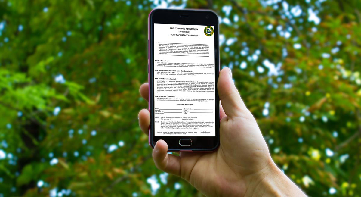 Image of hand holding phone